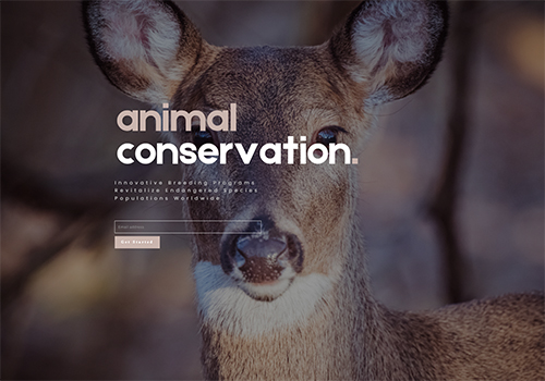 Animal Conservation theme